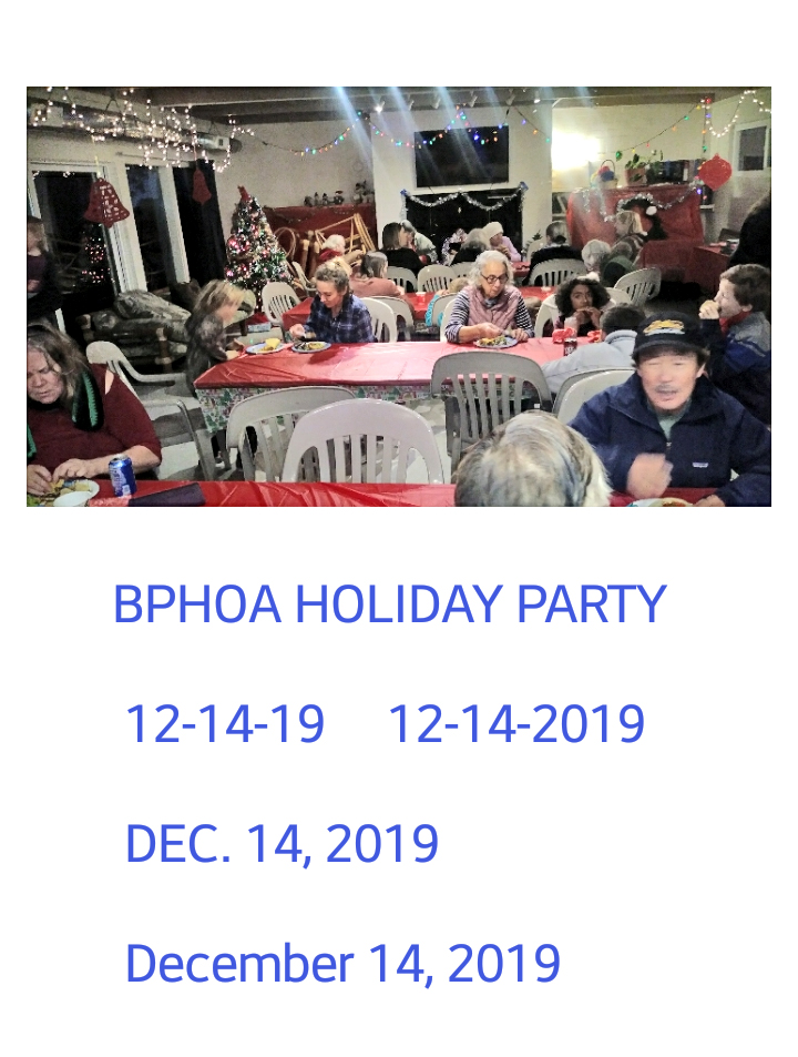 Holiday Party Dec 2019